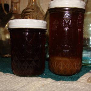 Ayahuasca