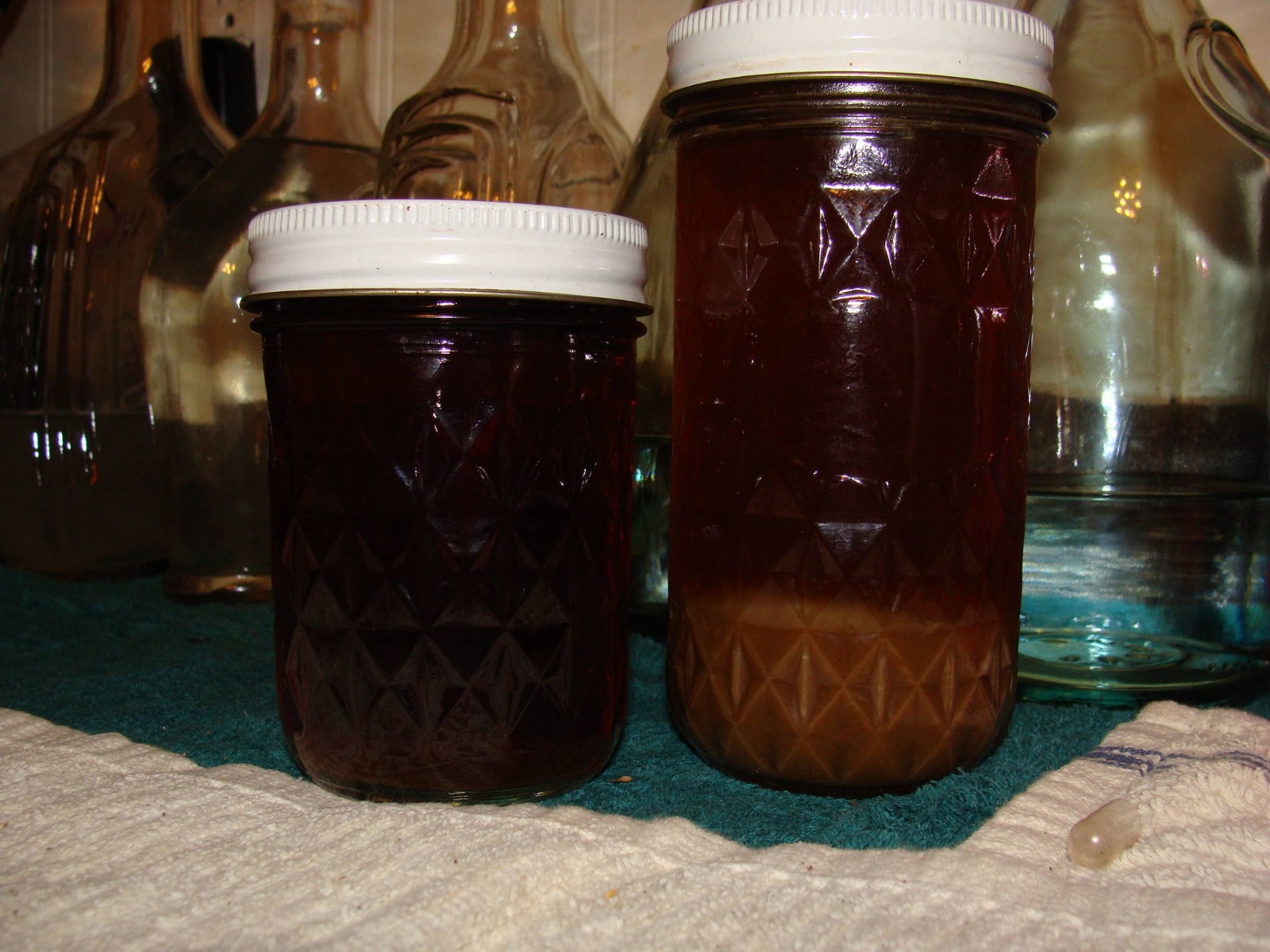 Ayahuasca